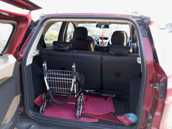 [台州·浙J] 二手福特翼搏2013款 1.5L 自动尊贵型