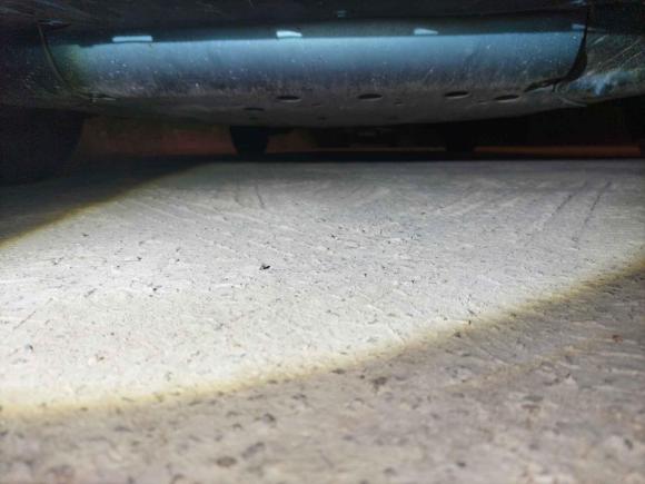 [广州·粤E] 二手本田飞度2018款 1.5L CVT潮跑版