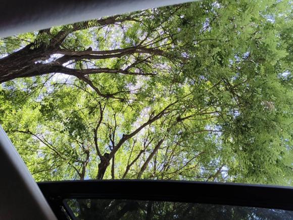 [西安·陕D] 二手起亚智跑2018款 2.0L 自动智享豪华版 国V