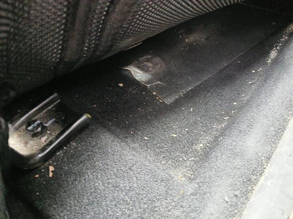 [芜湖·皖B] 二手奇瑞新能源小蚂蚁2021款 20万蚁粉款 元气版 三元锂 301km