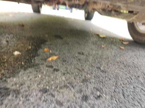 [嘉兴·浙B] 二手起亚狮跑2013款 2.0L 自动两驱版GL