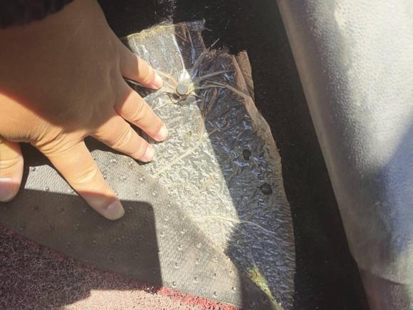 [常州·苏G] 二手斯柯达昕锐2015款 1.6L 手动智选型