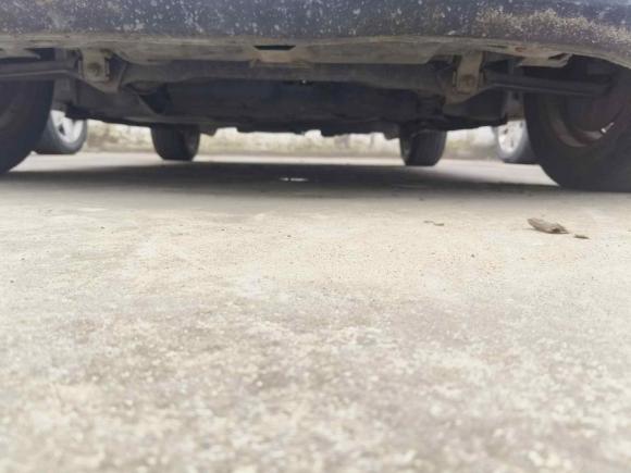 [温州·浙C] 二手smartsmart fortwo2011款 1.0 MHD 硬顶标准版