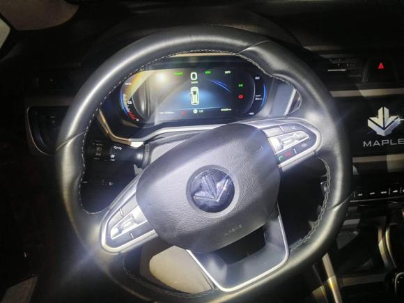 [苏州·苏E] 二手睿蓝汽车枫叶30X2020款 风尚版