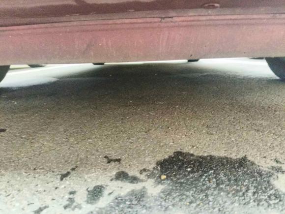 [嘉兴·浙F] 二手日产骐达TIIDA2011款 1.6L CVT智能型