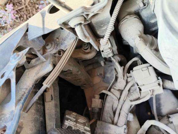 [温州·浙C] 二手大众甲壳虫2015款 180TSI