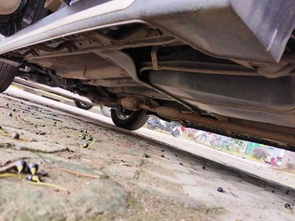 [上海·皖K] 二手起亚狮跑2013款 2.0L 手动两驱版GL