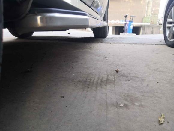 [南京·苏A] 二手雷诺科雷傲2009款 2.5L 两驱豪华型