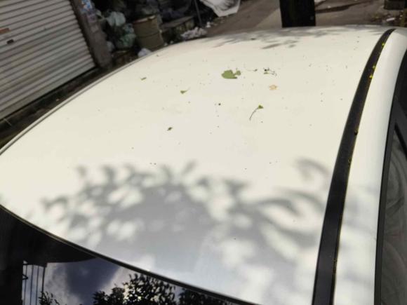 [台州·浙J] 二手北京汽车北京EU52018款 R500 智风版