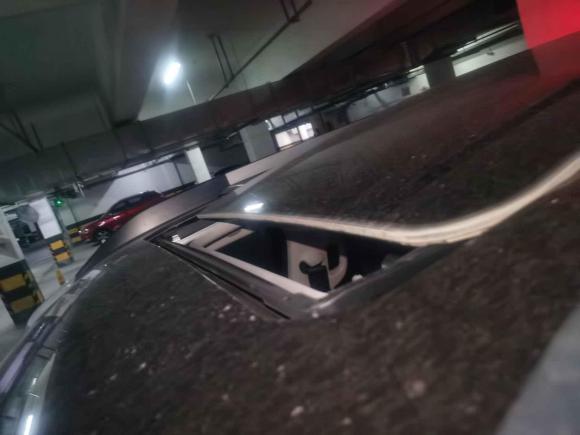 [温州·浙A] 二手哈弗哈弗大狗2021款 1.5T DCT两驱边牧版