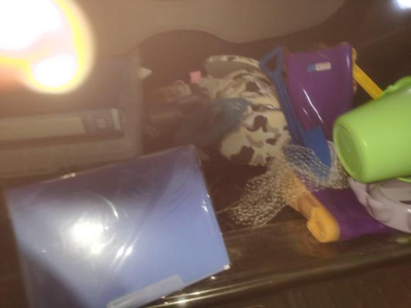 [温州·浙C] 二手宝沃宝沃BX52017款 25TGDI 自动两驱智享型