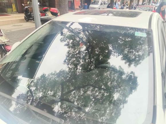 [上海·沪E] 二手本田凌派2022款 180Turbo CVT豪华版