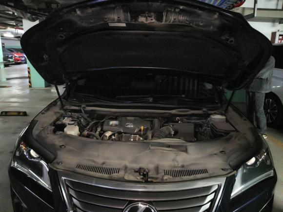 [苏州·苏E] 二手雷克萨斯雷克萨斯RX2016款 300 两驱舒适版 国V