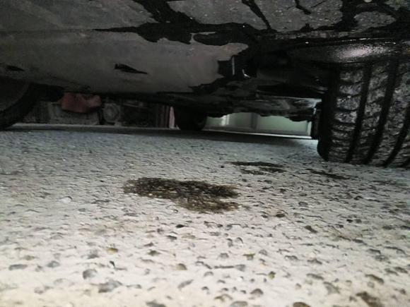 [温州·浙C] 二手沃尔沃沃尔沃XC902019款 T6 智雅版 7座 国VI