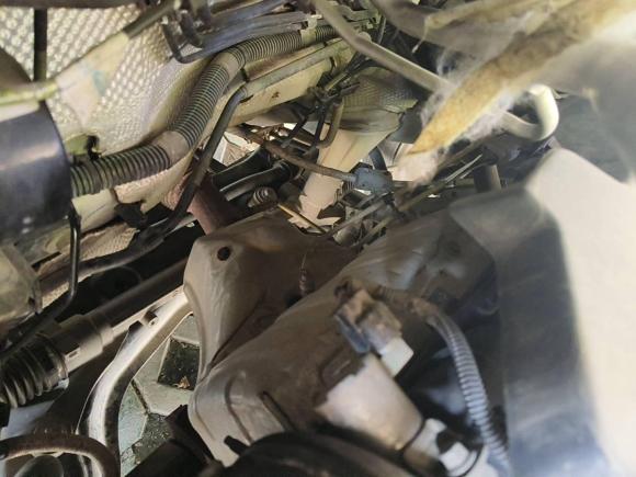 [无锡·苏B] 二手福特翼搏2013款 1.5L 自动尊贵型