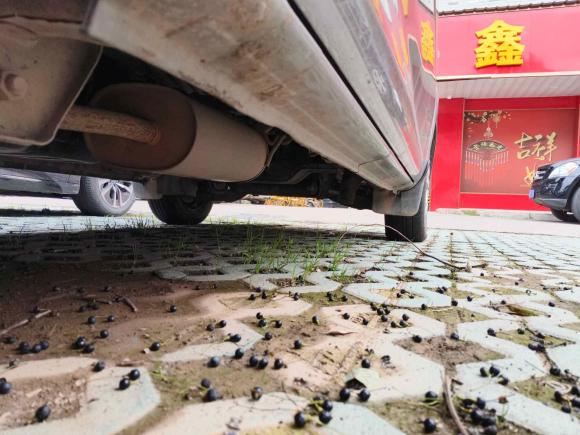 [义乌·浙G] 二手东风风行菱智2016款 V3 1.5L 7座豪华型 国IV