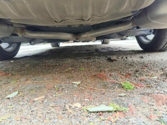 [青岛·鲁B] 二手本田英仕派2019款 260TURBO 精致版 国VI