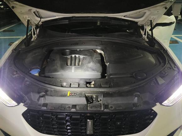 [武汉·鄂A] 二手魏牌魏牌 VV72017款 2.0T 超豪型