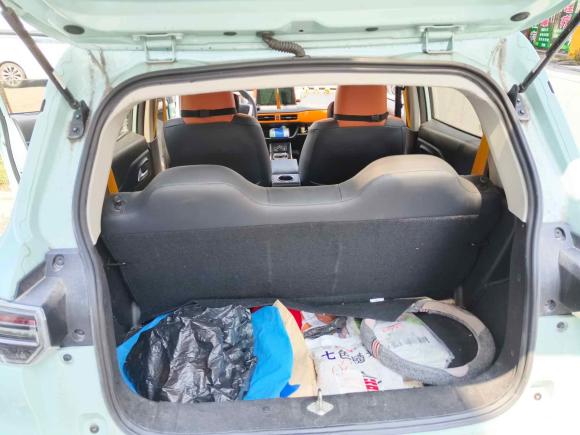 [南通·苏F] 二手雷丁雷丁芒果2021款 趣芒悦动版 200km