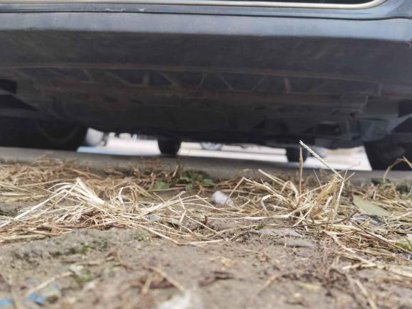 [无锡·苏B] 二手大众迈腾2009款 1.8TSI DSG豪华型