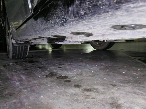 [宁波·浙B] 二手日产轩逸2019款 1.6XE CVT舒适版 国V