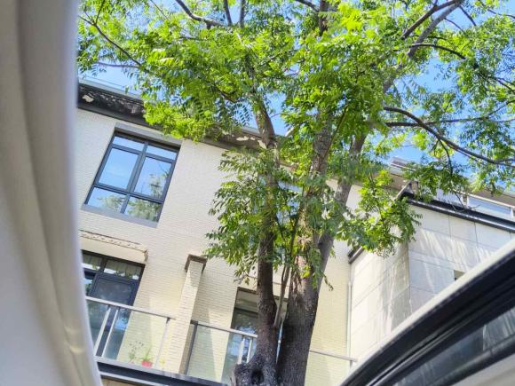 [上海·沪B] 二手广汽传祺传祺M82021款 大师系列 390T 尊贵版