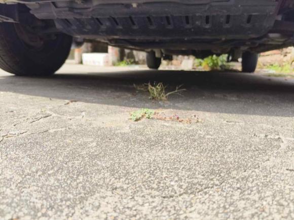 [温州·贵C] 二手五菱汽车五菱宏光2020款 1.2L S基本型国VI LSI