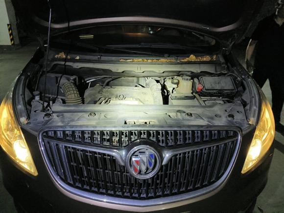 [上海·沪C] 二手别克别克GL82018款 28T 尊贵型 国VI