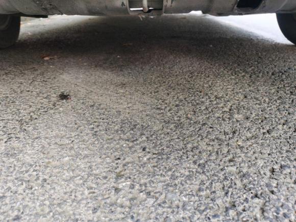 [上海·沪C] 二手起亚赛拉图2012款 1.6L AT GL