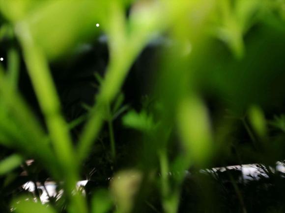 [宁波·浙B] 二手日产轩逸2021款 1.6L XL CVT悦享版