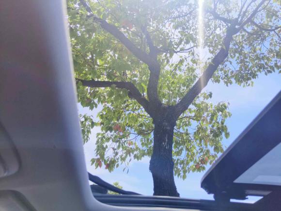 [上海·苏N] 二手埃安AION S2020款 魅 580