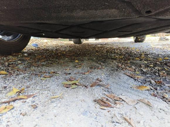 [广州·粤E] 二手启辰启辰大V2021款 260T 爱豆版