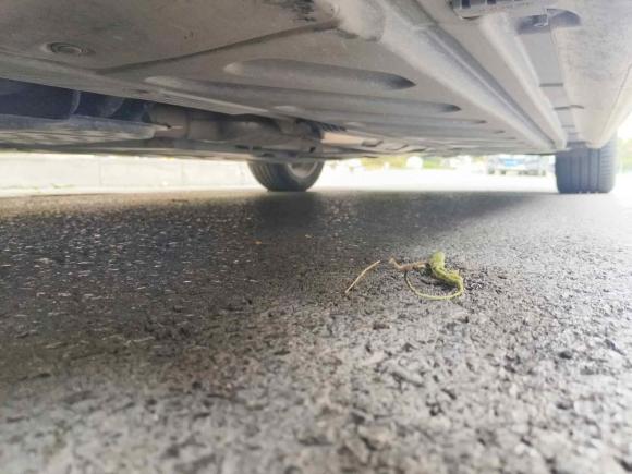 [西安·陕A] 二手奔驰奔驰C级2019款 C 180 L 时尚型运动版