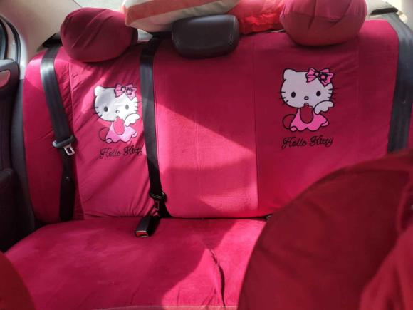 [芜湖·皖B] 二手大众桑塔纳2015款 1.6L 手动舒适版