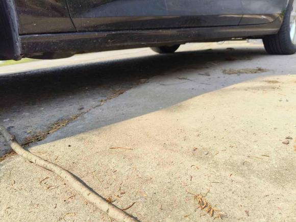 [上海·苏E] 二手别克君威2019款 20T 豪华型 国V