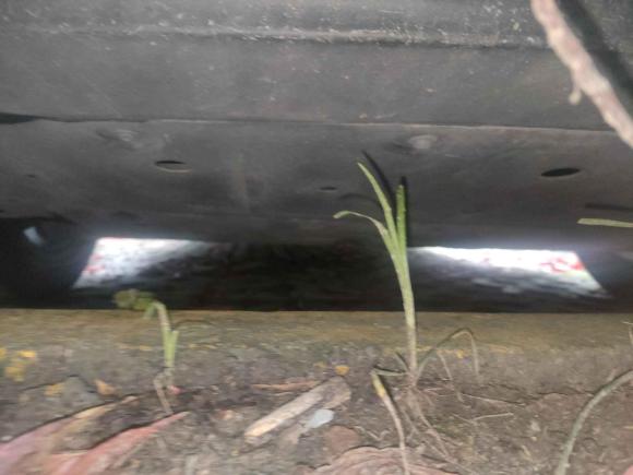 [无锡·苏B] 二手小鹏小鹏P72020款 586N