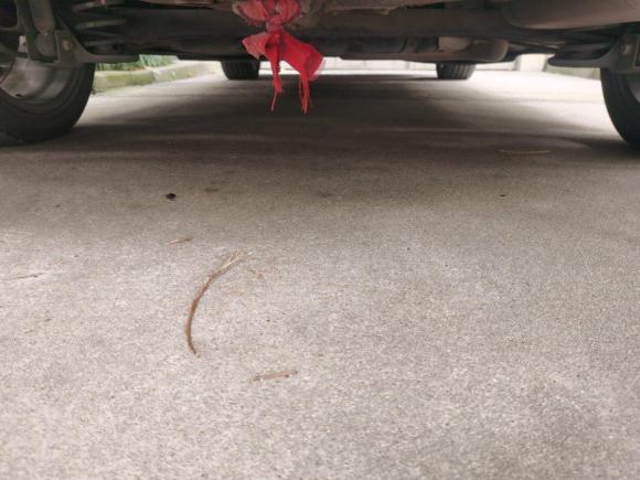 [上海·苏J] 二手现代领动2016款 1.6L 自动智炫·精英型