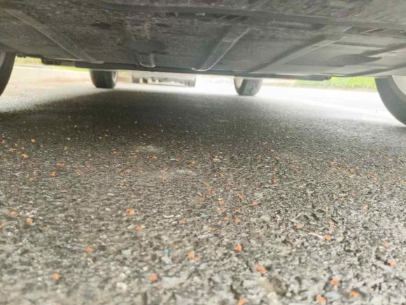 [杭州·浙A] 二手欧拉欧拉好猫2023款 401km标准续航 豪华型 三元锂