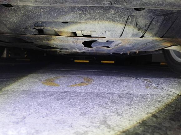 [合肥·皖A] 二手本田奥德赛2021款 2.0L 锐·畅享版