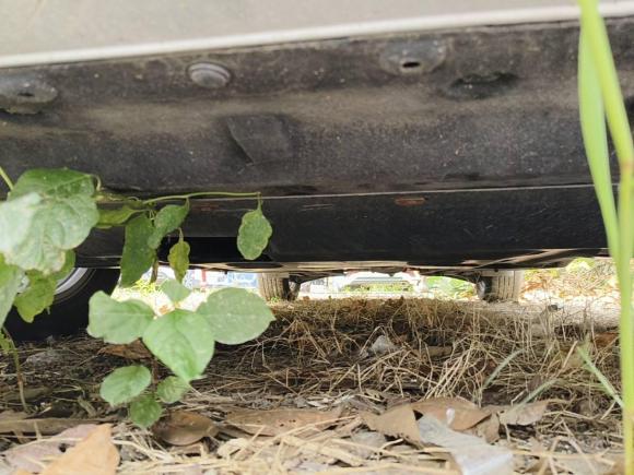 [成都·新A] 二手启辰启辰星2021款 260T 自动48V轻混增压 星享事成版