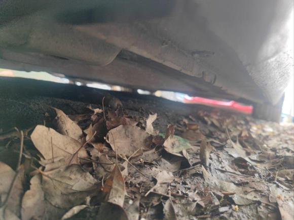 [上海·浙C] 二手别克君威2011款 2.4L SIDI精英版