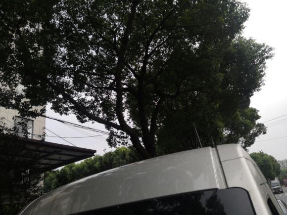 [嘉兴·皖B] 二手江淮星锐2018款 1.9T 节油王厢式运输车3座D19TCIE11