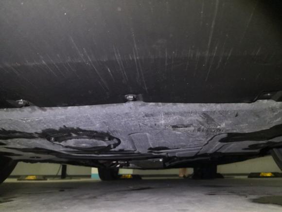 [上海·沪A] 二手比亚迪汉2020款 DM 四驱性能版豪华型