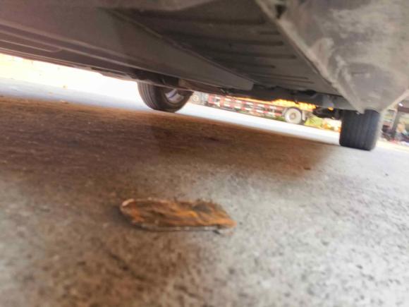 [南昌·赣M] 二手标致标致3082014款 乐享版 经典 1.6L 自动优尚型