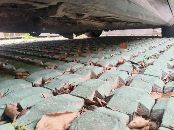 [南京·苏A] 二手奔驰奔驰S级2010款 S 300 L 豪华型