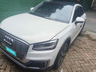 奥迪奥迪Q2L e-tron2019款 Q2L e-tron 纯电智享型