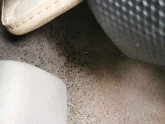 [佛山·桂K] 二手马自达马自达62012款 2.0L 自动时尚型