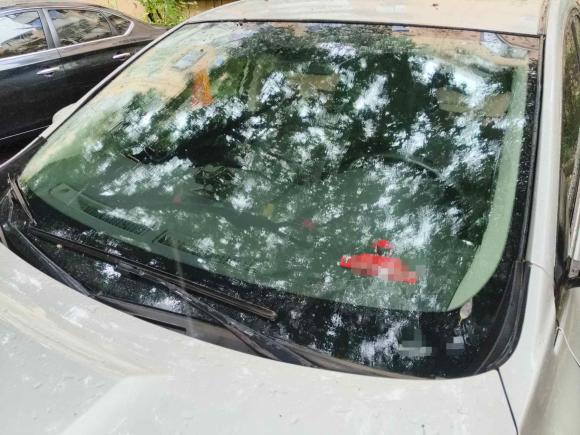 [上海·沪C] 二手日产轩逸2016款 1.6XL  CVT尊享版