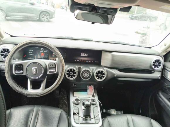 [济南·鲁A] 二手坦克坦克3002021款 越野版 2.0T 征服者