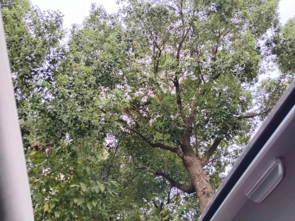 [苏州·苏E] 二手奥迪奥迪A32015款 Sportback 35 TFSI 百万纪念智领型